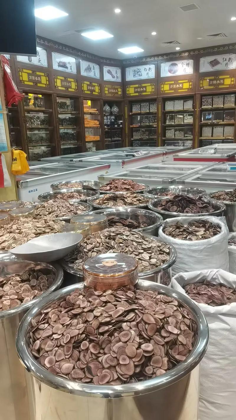 衡阳中药传承与发展